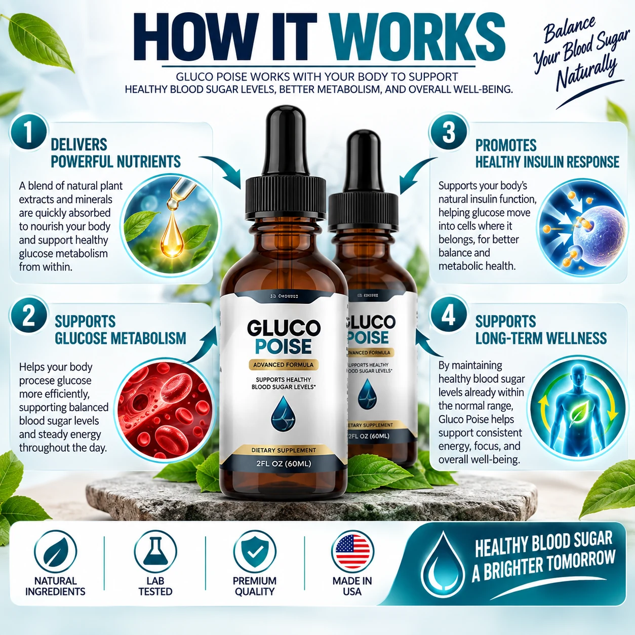How GlucoPoise works — delivers nutrients, supports glucose metabolism, promotes healthy insulin response and supports long-term wellness